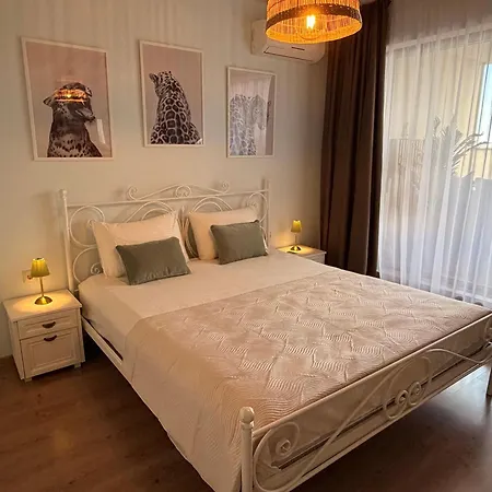 Guest Exotic Argisht Golden Sands Warna